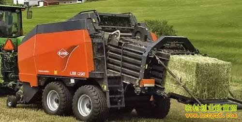 “十三五”规划纲要蕴藏的11个农业致富商机