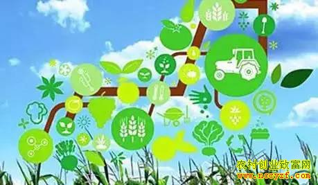 “十三五”规划纲要蕴藏的11个农业致富商机