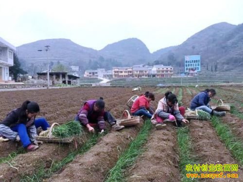 �������������ϴ�����ֲ��������¸�·