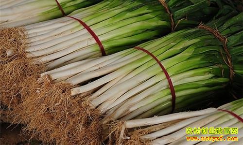 ��м۸�����Ҫԭ�򣺴�п��漱�ڻ���̧��