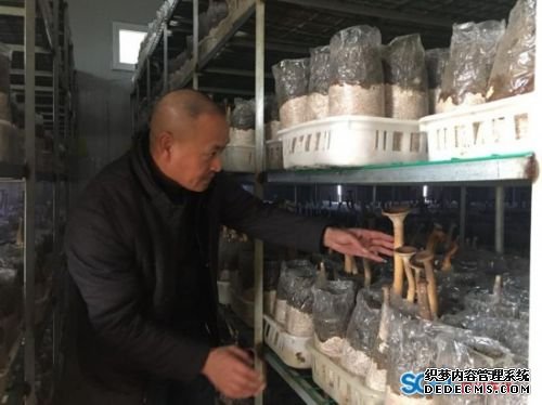 �Ĵ�������˳����ֲʳ�þ����������¸�