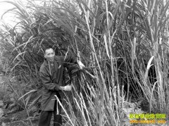 �����ϴ��Ż�����ֲ������ֳ��¸�����