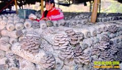 ���ֶ����������������ƽ����׬10����