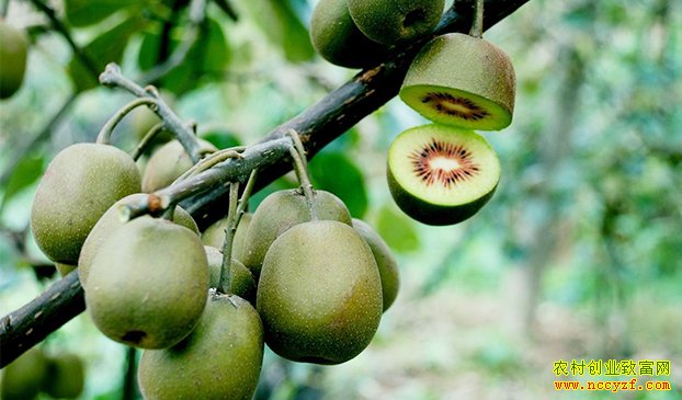 ����ͭ����Ϊʤ⨺���԰��Ĵ��¡�������