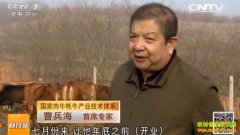 [�Ƽ�Է]�������ݲ���ǿ��ţ��ģʽ������׬Ǯ