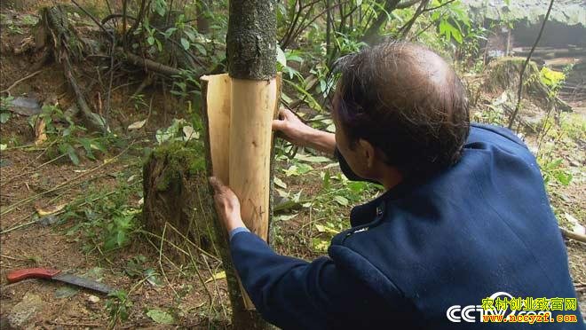 [��ɫʱ��]��ʲô��׬Ǯ�����������֡��Ƹ���