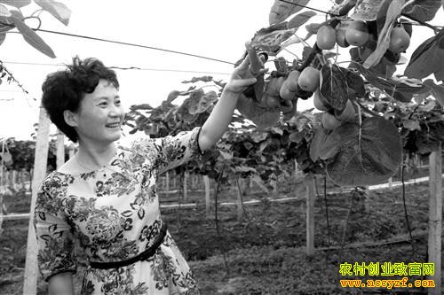 ����ͭ����Ϊʤ⨺���԰��Ĵ��¡�������