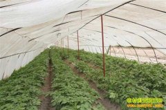 �¸��ð��������������� ��׬�����