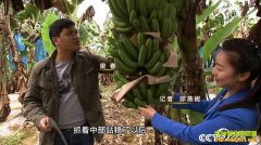 [�¸���]���������������㽶��ҵ����Ѱ��·