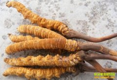 Ͷ�ʳ��׬Ǯ��2016���ݼ۸���������