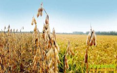 2016����ֲ��׬Ǯ��