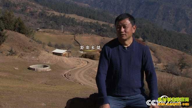 [�¸���]����۸�ȫ���:˹�϶������ڹ����¸���Ƶ