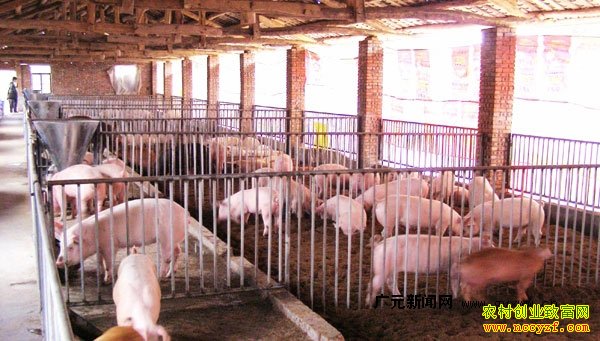 �����������˾������������ڴ��������¸�·