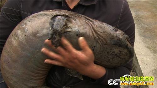 �������͵�������׬Ǯ