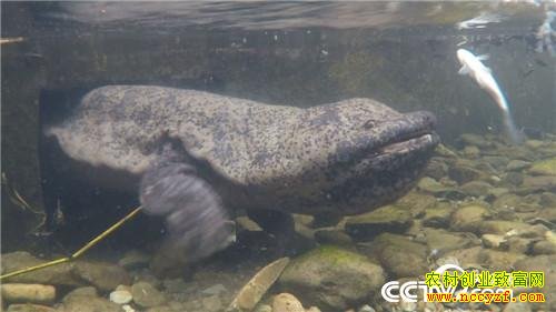 �������͵�������׬Ǯ