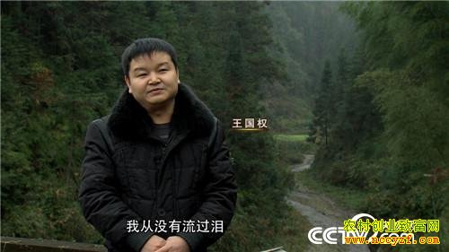 �������͵�������׬Ǯ