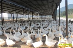 ��������������ֳС��ѡַ����Щ�涨��