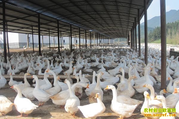 ��������������ֳС��ѡַ����Щ�涨