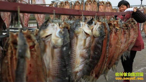 [�¸���]�㽭��Ҧë����������������׬Ǯ