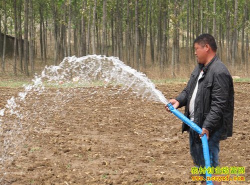 ��������ͼƬ