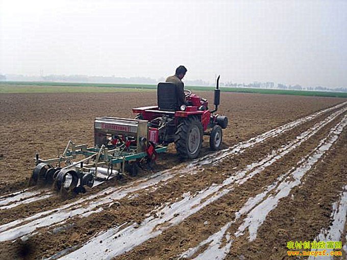 ��������ͼƬ