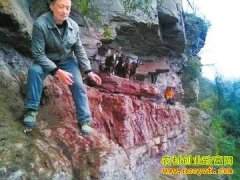 �Ĵ��˱���ͥ��ֳҰɽ���ͨ�¸�·