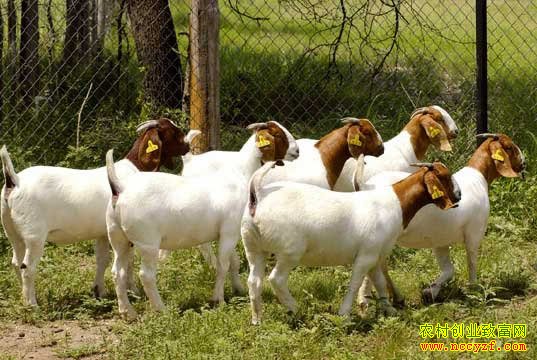 �Ĵ��˱���ͥ������־�� �����ͨ�¸�·