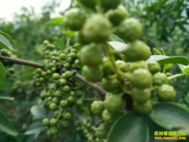 [ũ�����]�ٽ�������