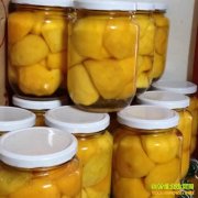 ������ɽ�⾲Ҷ�Դ�ҵ�����ҹ�ͷ��������10��ƿ