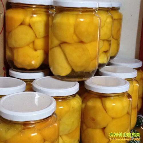 ������ɽ�⾲Ҷ�Դ�ҵ�����ҹ�ͷ��������10��ƿ