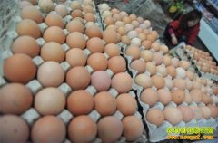 �����۸��ӭ����������