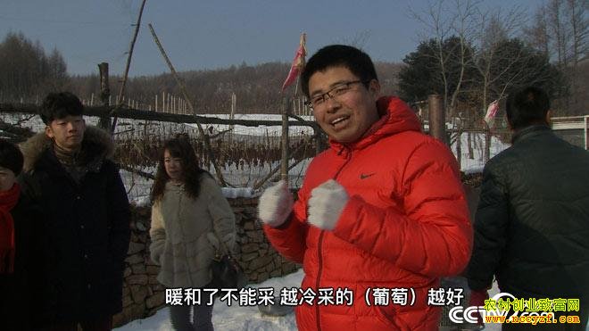 [�¸���]������Ϫ��������������������׬Ǯ