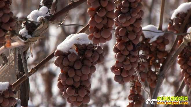 [�¸���]������Ϫ��������������������׬Ǯ