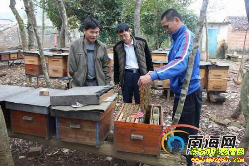 ���ڲм��˻ƹ����������һ���м���