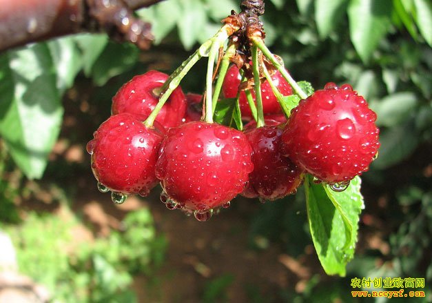 ɽ����Դ��Ԫ����ӣ��Ķ���������Ԫ