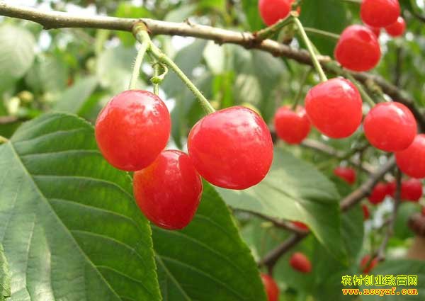 ɽ����Դ��Ԫ����ӣ��Ķ���������Ԫ