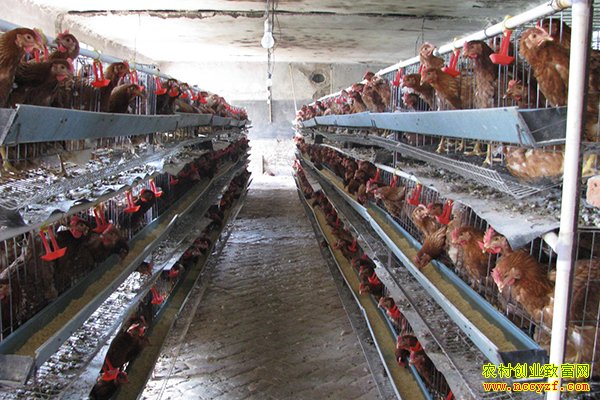 ɽ��������ʢïƷ������׬����Ԫ