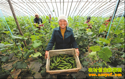 ũ����ֲ��Ŀ