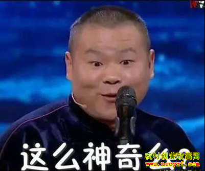 ���������������˰�����