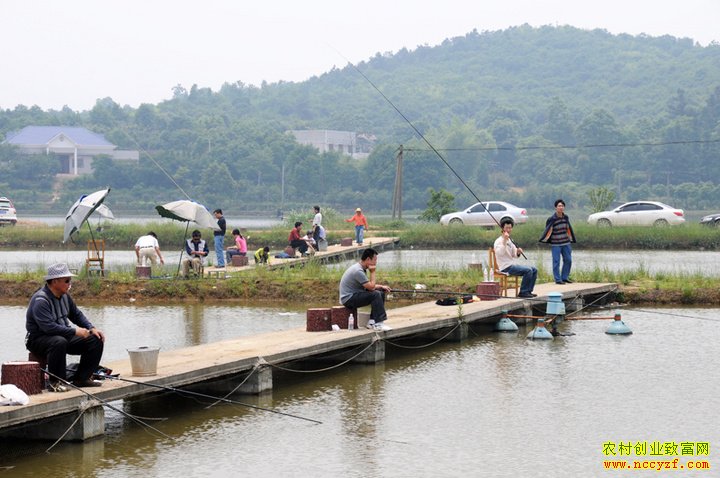 ũ����������