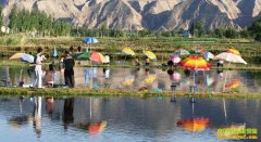 ��������������ҵ��Ȼ���� ������볬5��