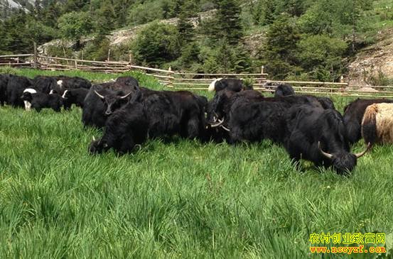 �������������ֳ��ҵ�̾��¸�·