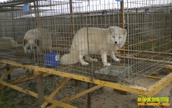 ɽ��ũ����ֳʲô��׬Ǯ