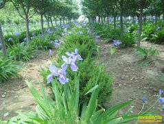 2016��ũ�崴ҵ�¸��µ���