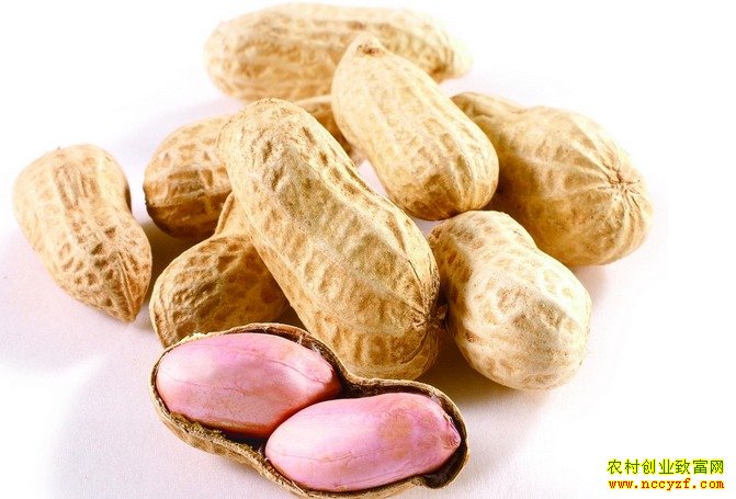 ������������ ���Ϊ����;��