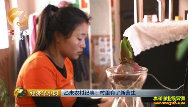 ��ѧ����ũ�����"����Ա" �����¾�׬80��