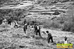 ����ʯ��̷���պ������Ļ�ɽ�����ֻ����¸�