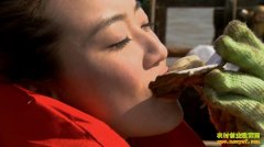 [ÿ��ũ��]������ĵ�� һ�ϰ��ͱ�����