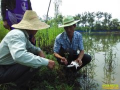 ������Ч��ߣ��������¸���������