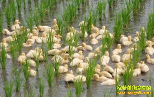 ����Ѽ��������̬����Ч��ɹ�